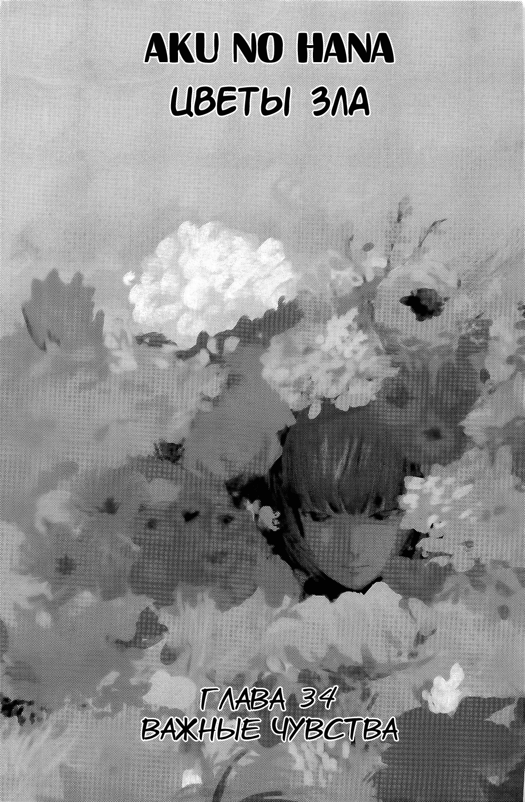 Read Цветы зла манга читать онлайн — Все главы Aku no Hana на русском Manga Online
