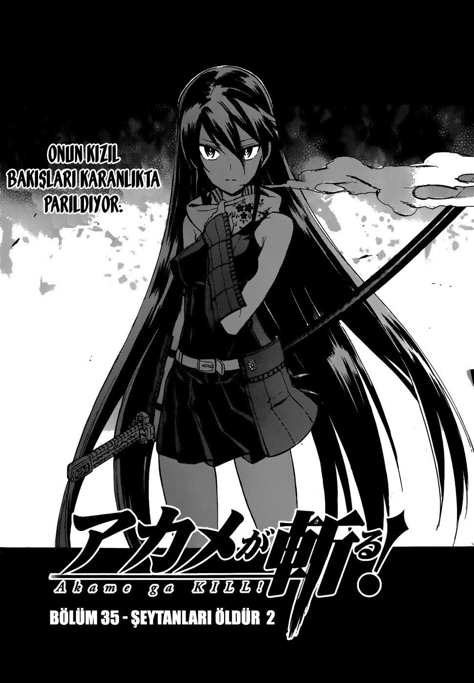 Read Akame ga KILL Tr Manga Online
