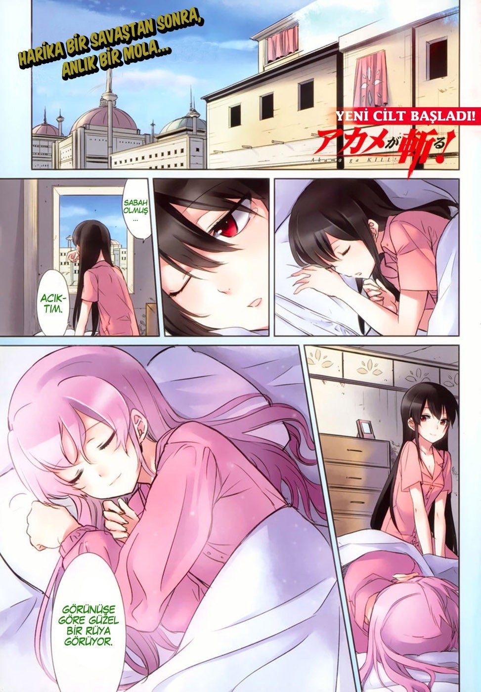 Read Akame ga KILL Tr Manga Online