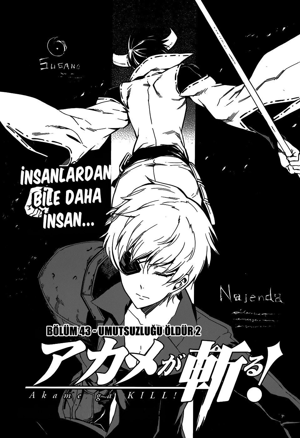 Read Akame ga KILL Tr Manga Online