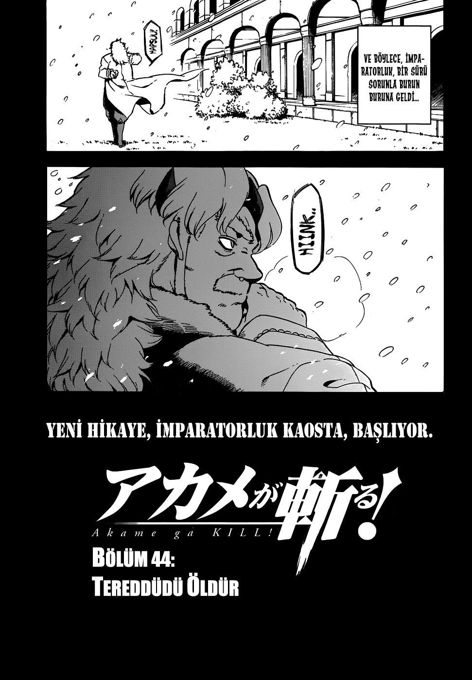 Read Akame ga KILL Tr Manga Online