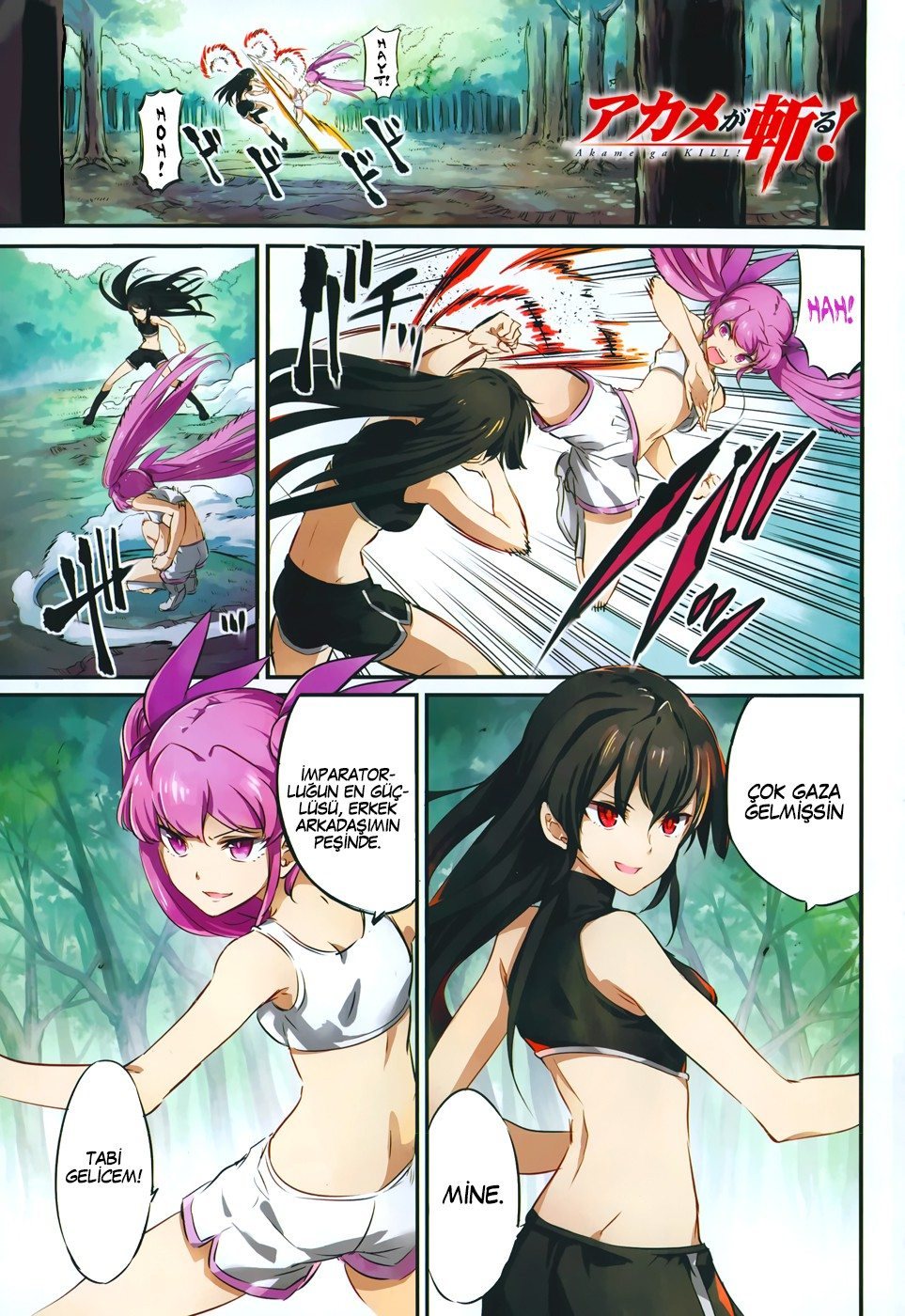 Read Akame ga KILL Tr Manga Online