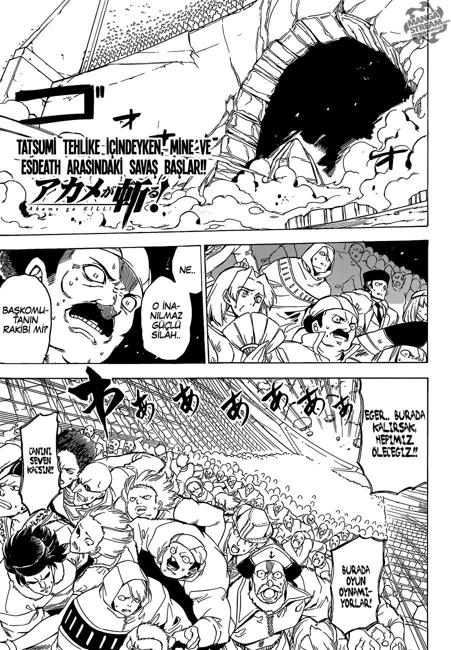 Read Akame ga KILL Tr Manga Online