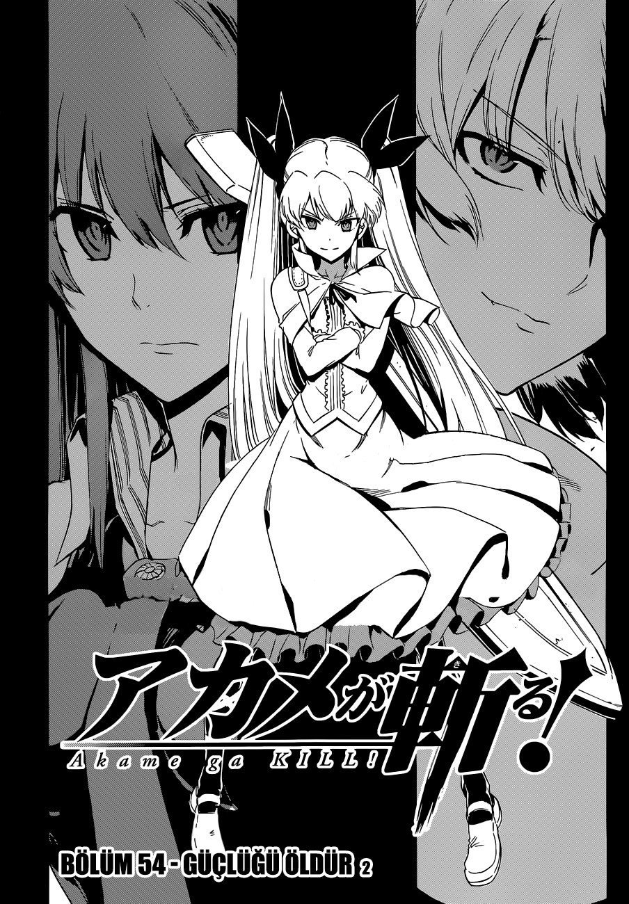Read Akame ga KILL Tr Manga Online