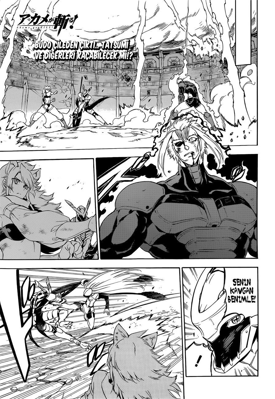 Read Akame ga KILL Tr Manga Online