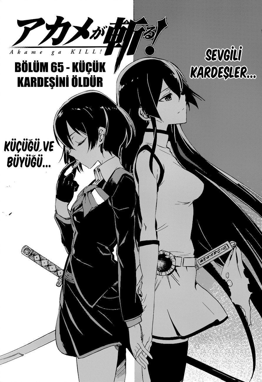 Read Akame ga KILL Tr Manga Online