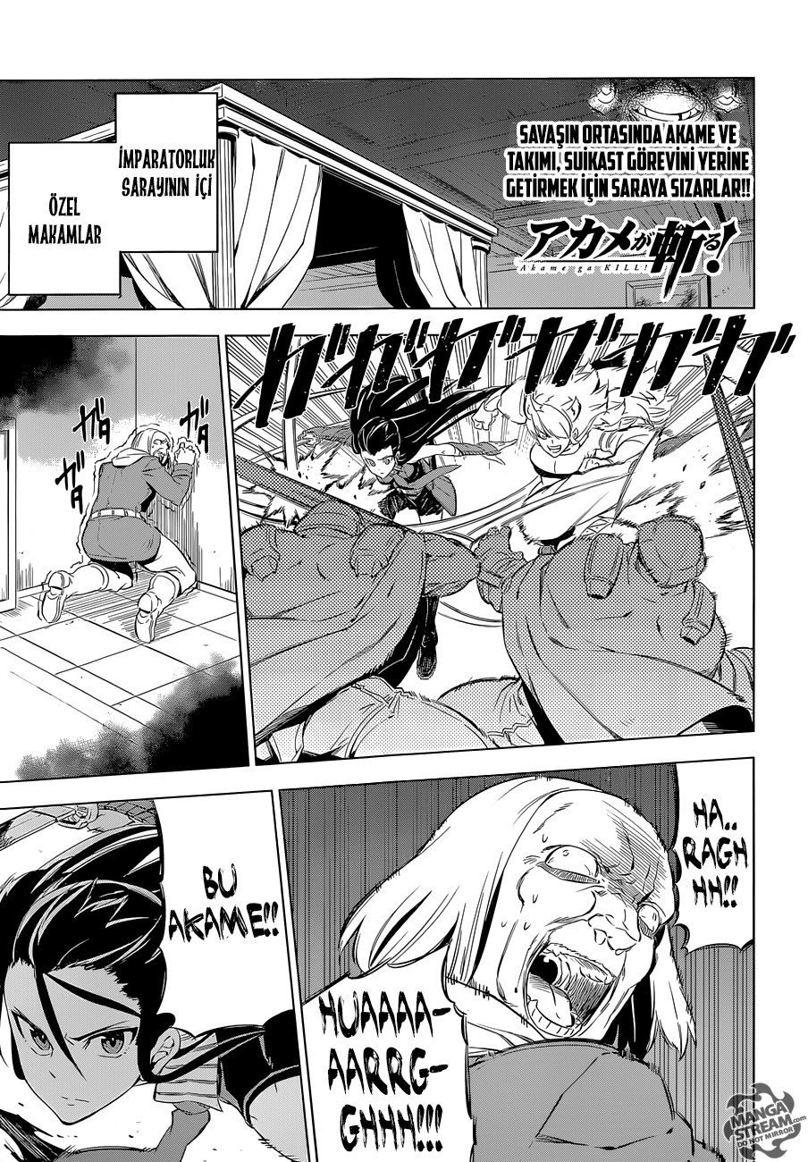 Read Akame ga KILL Tr Manga Online