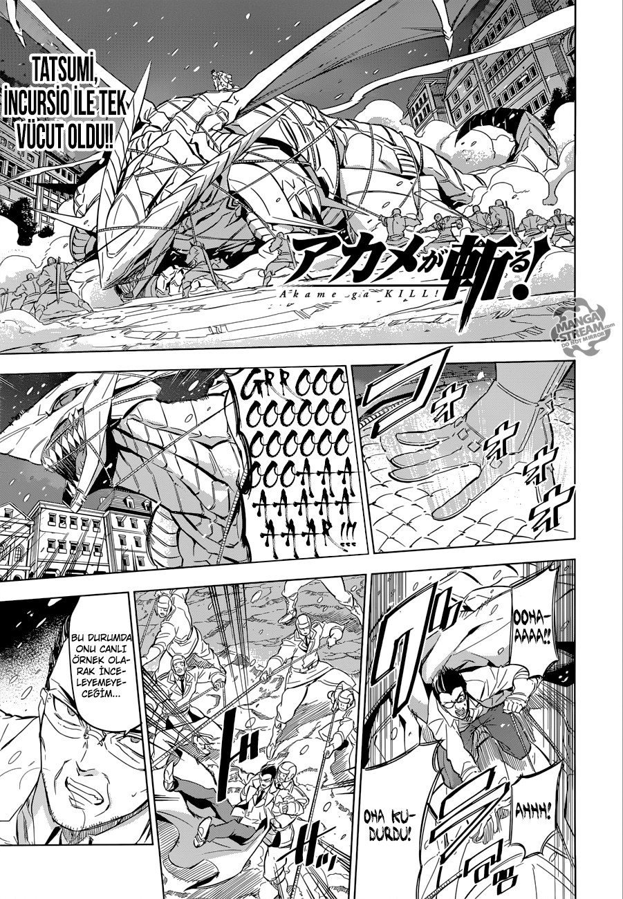 Read Akame ga KILL Tr Manga Online