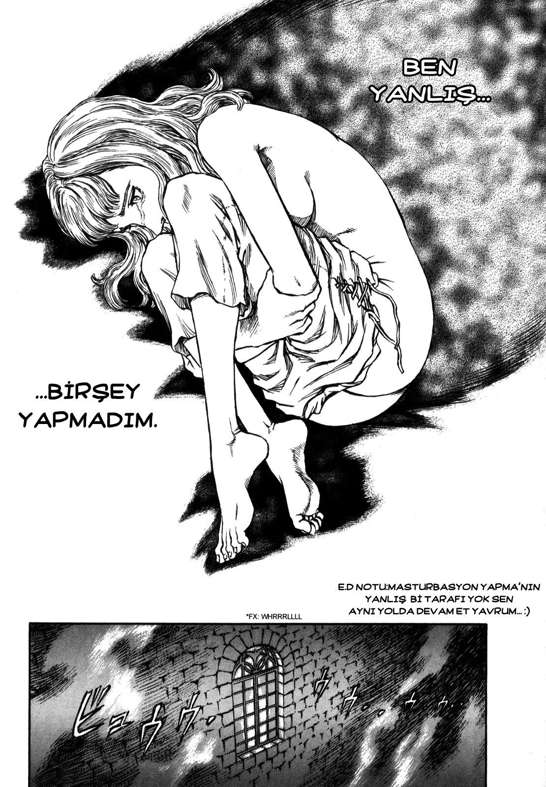 Read Berserk TR Manga Online