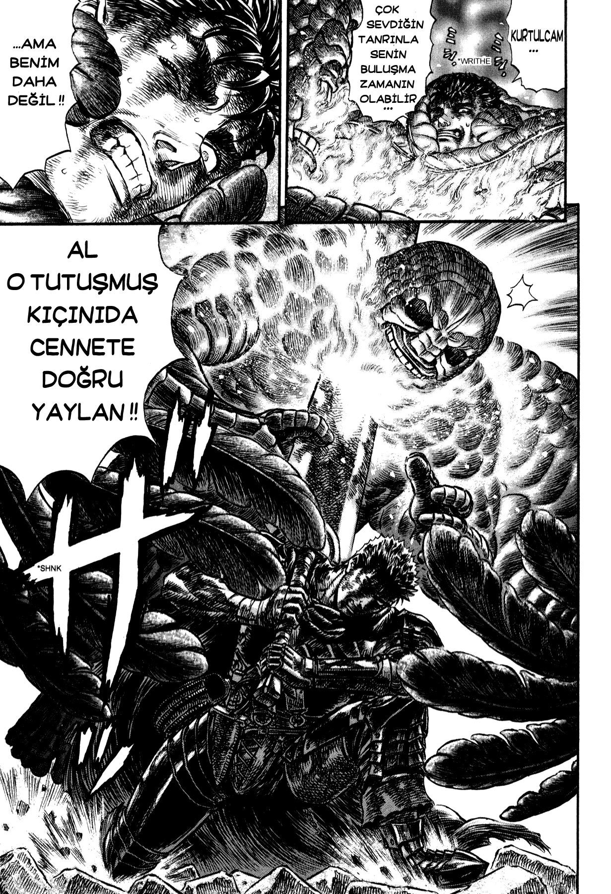 Read Berserk TR Manga Online