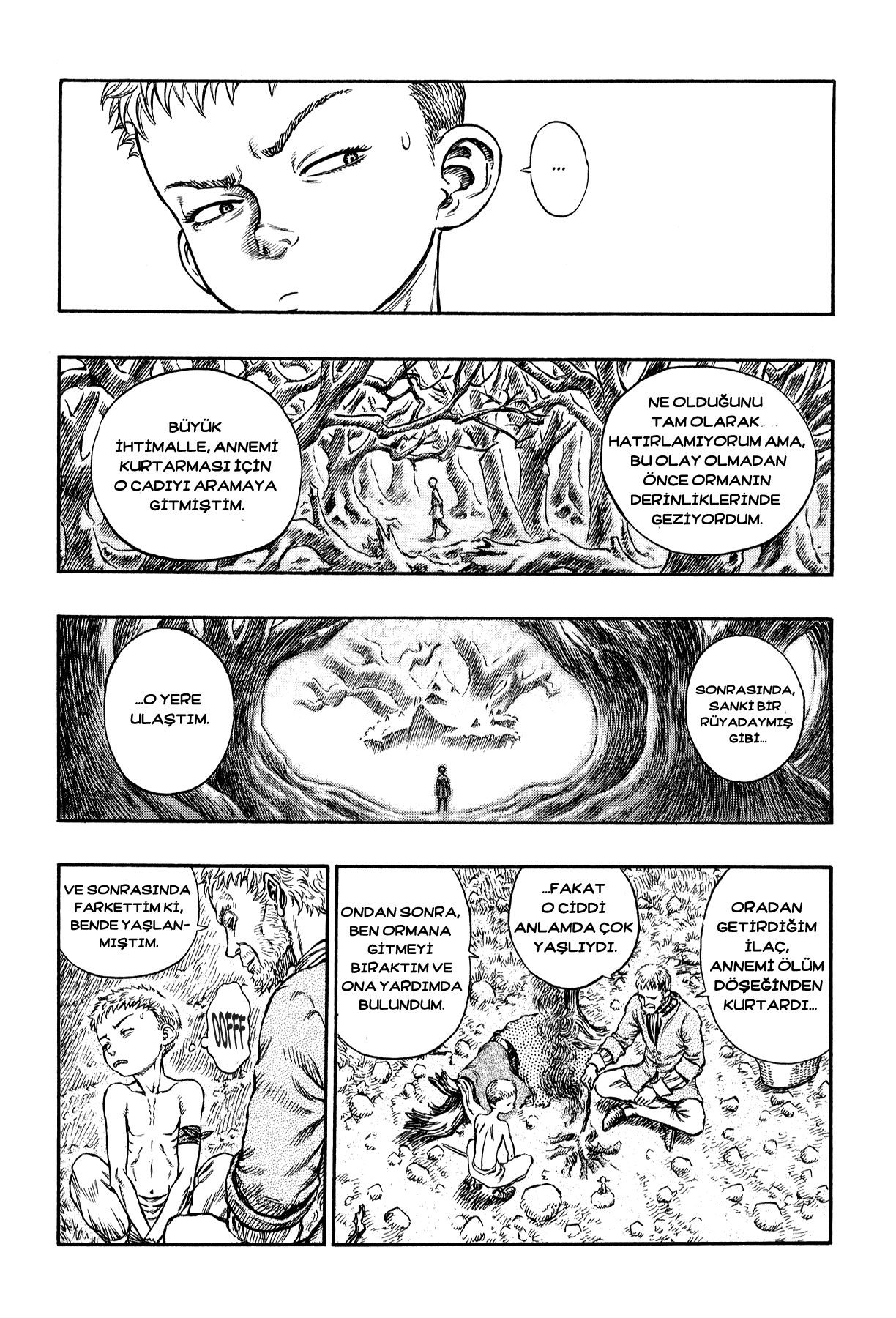 Read Berserk TR Manga Online
