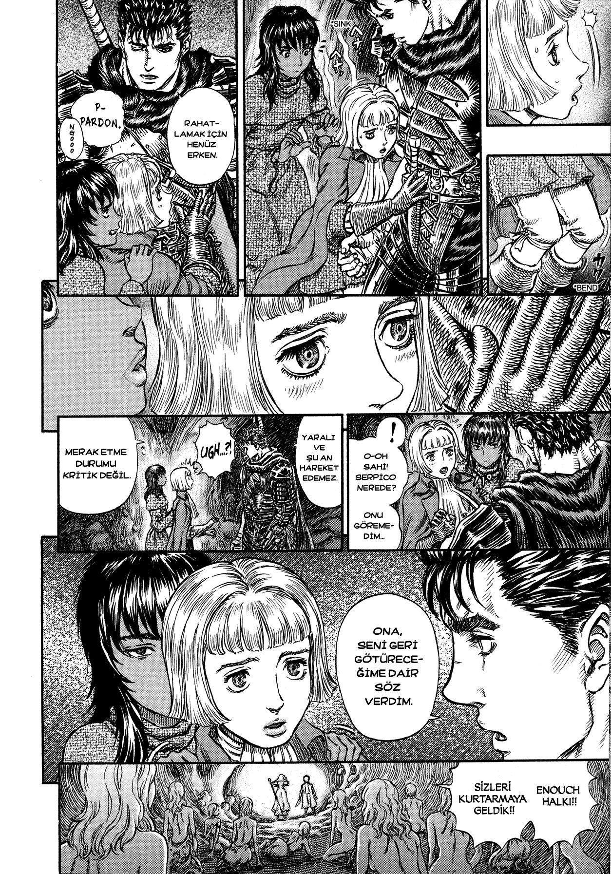 Read Berserk TR Manga Online