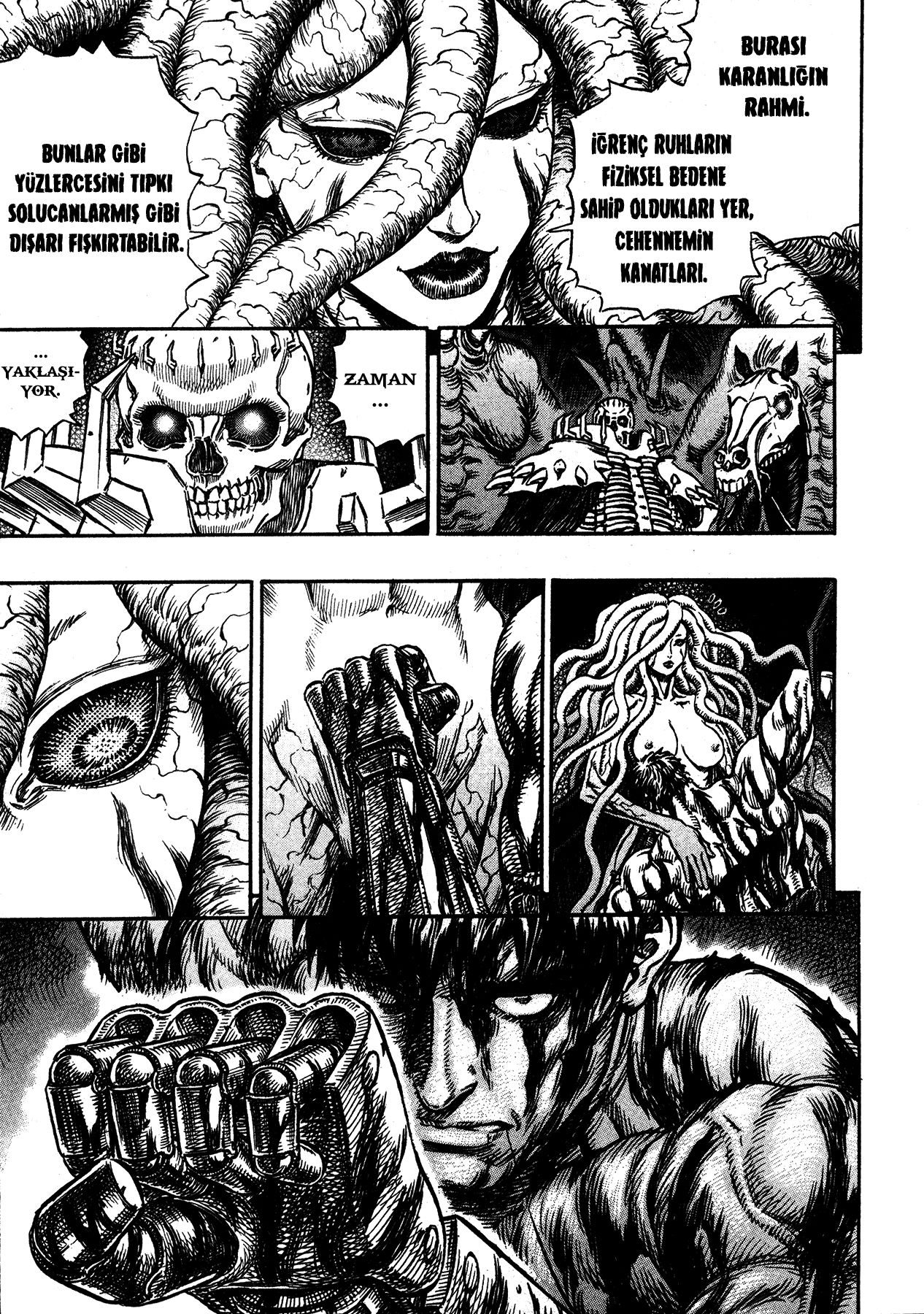 Read Berserk TR Manga Online