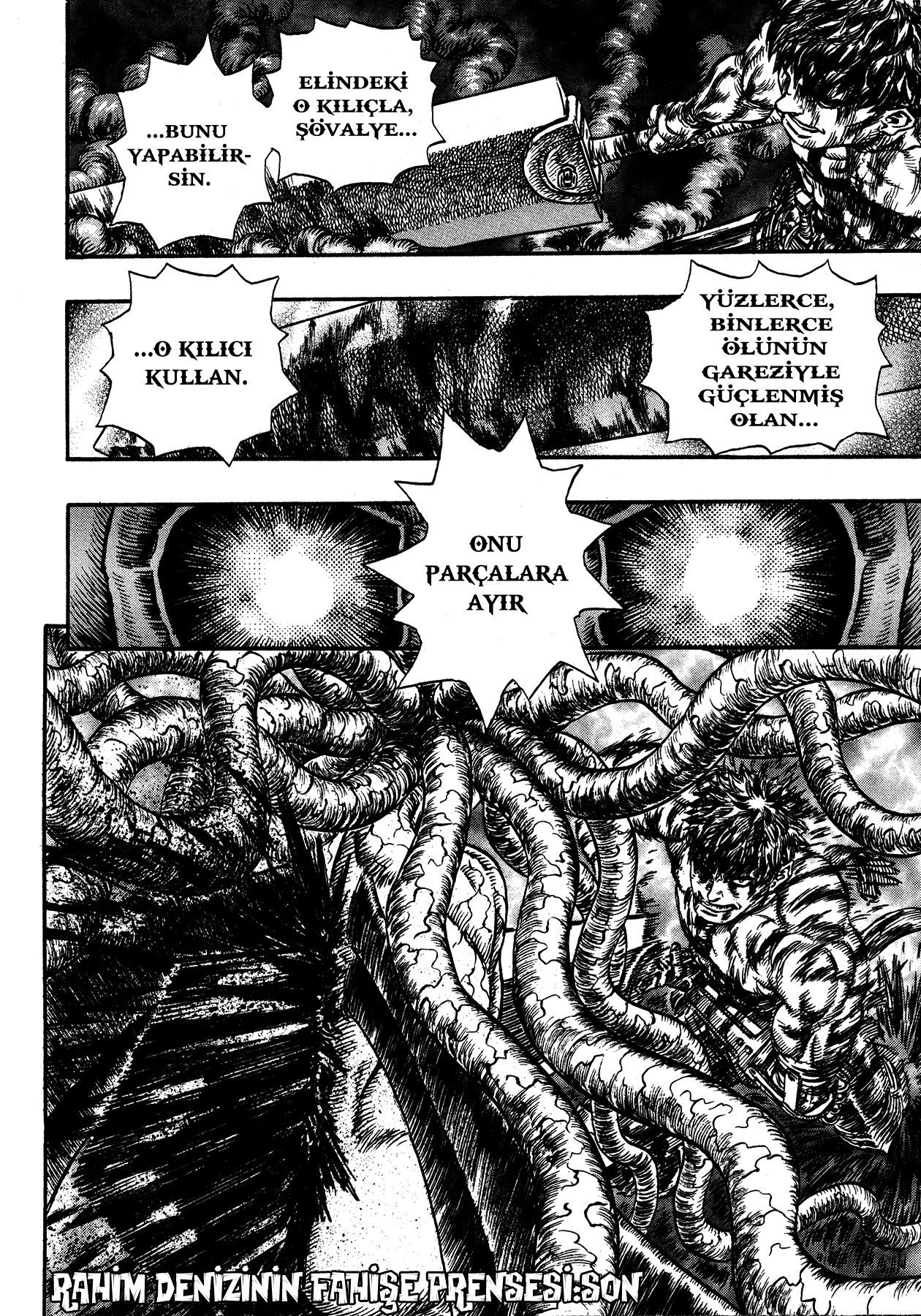 Read Berserk TR Manga Online