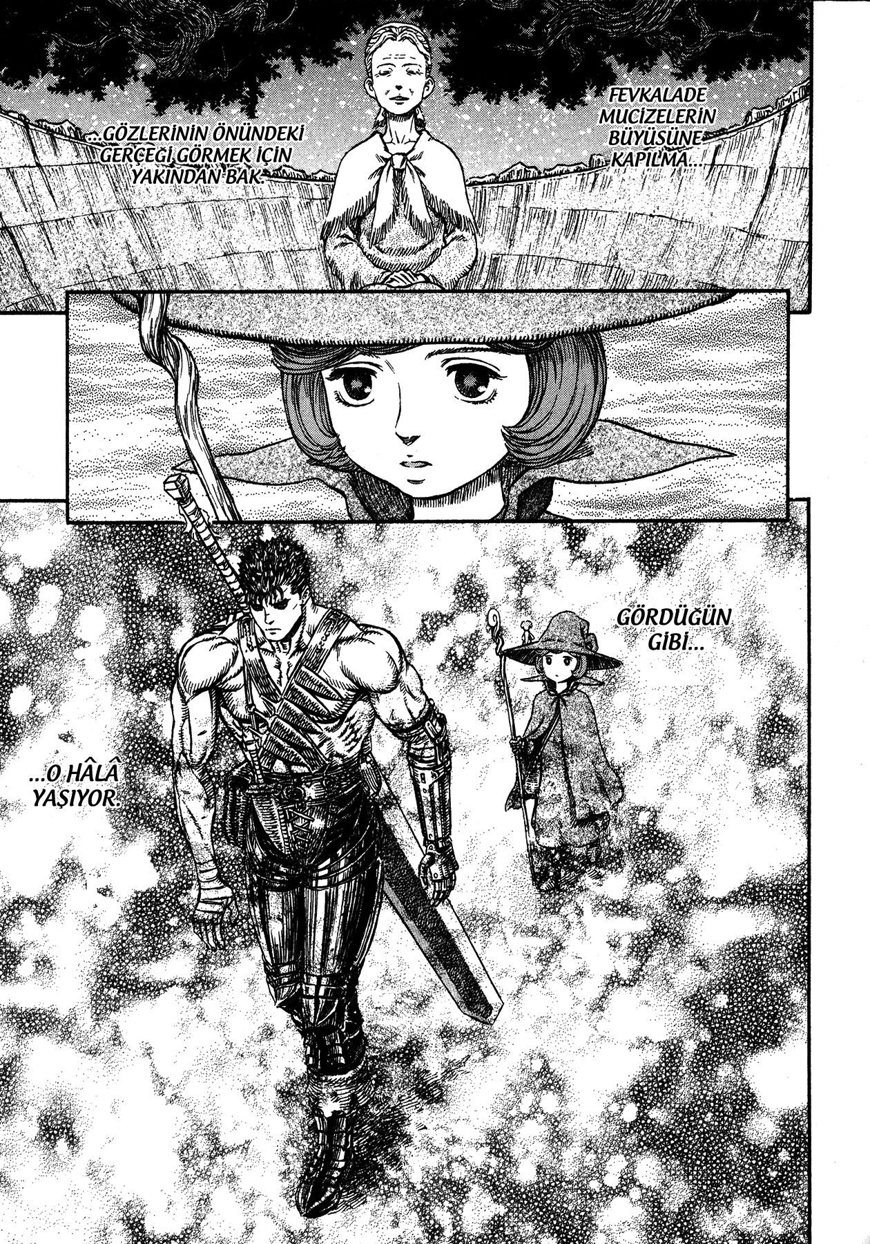 Read Berserk TR Manga Online