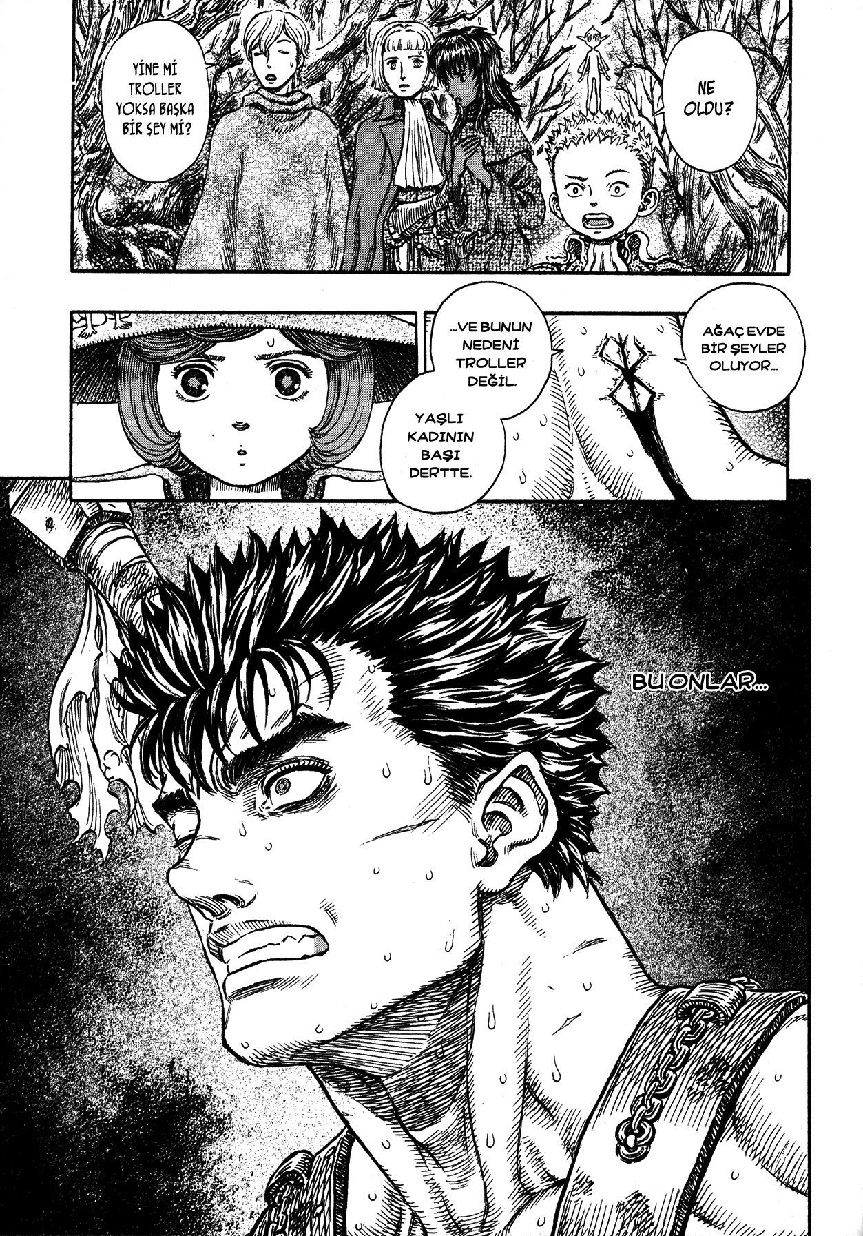 Read Berserk TR Manga Online