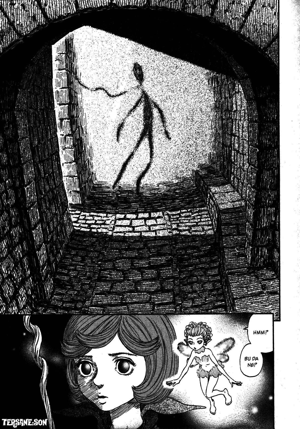 Read Berserk TR Manga Online