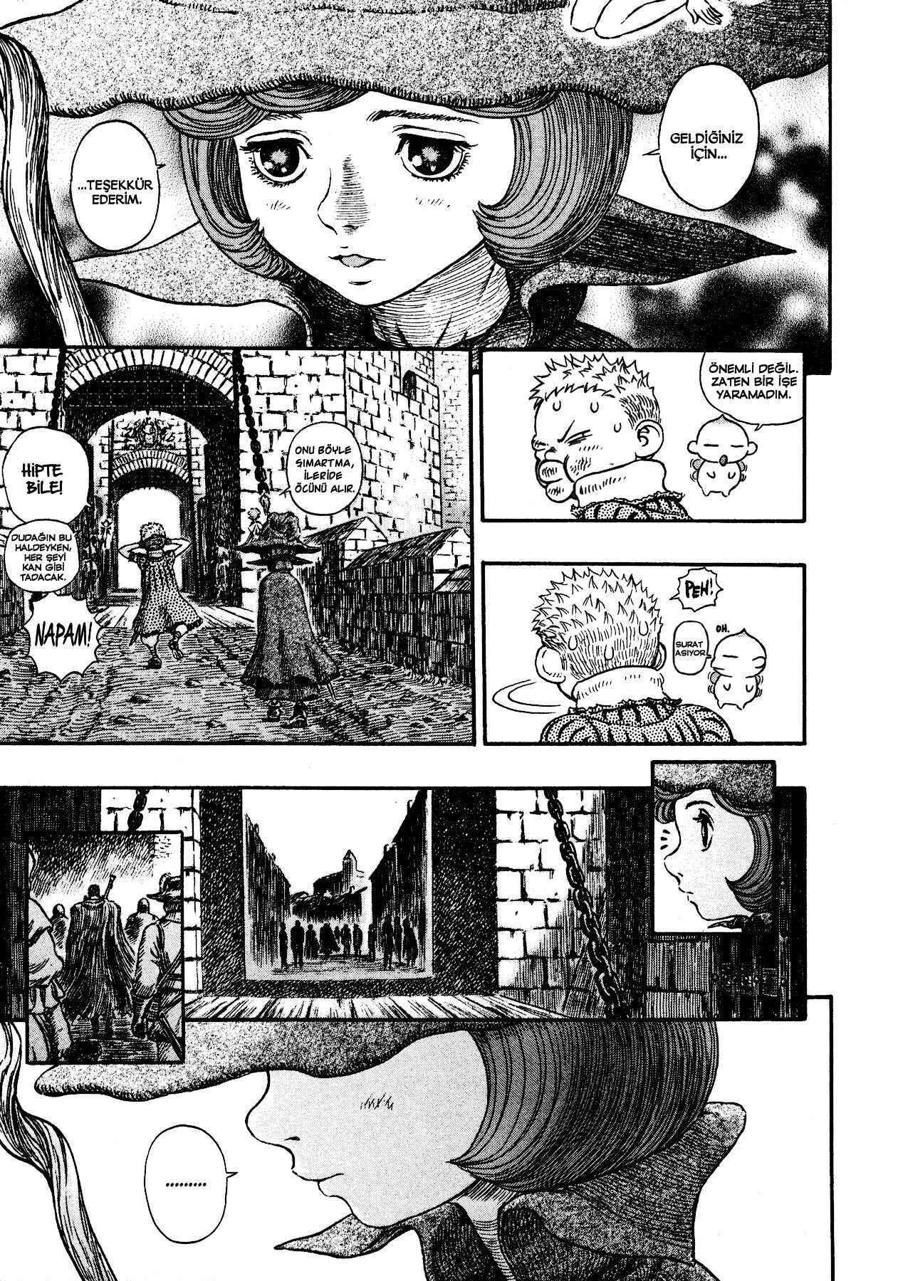 Read Berserk TR Manga Online