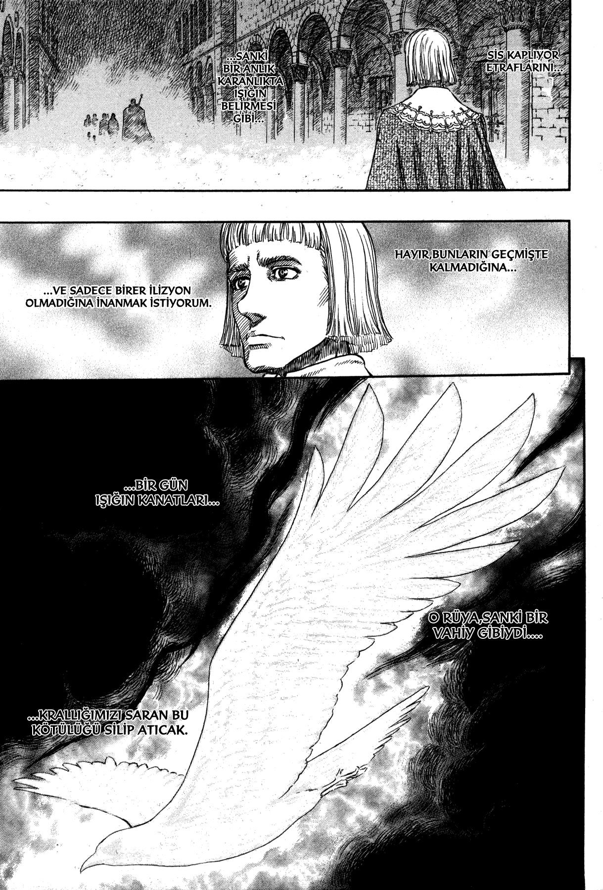 Read Berserk TR Manga Online