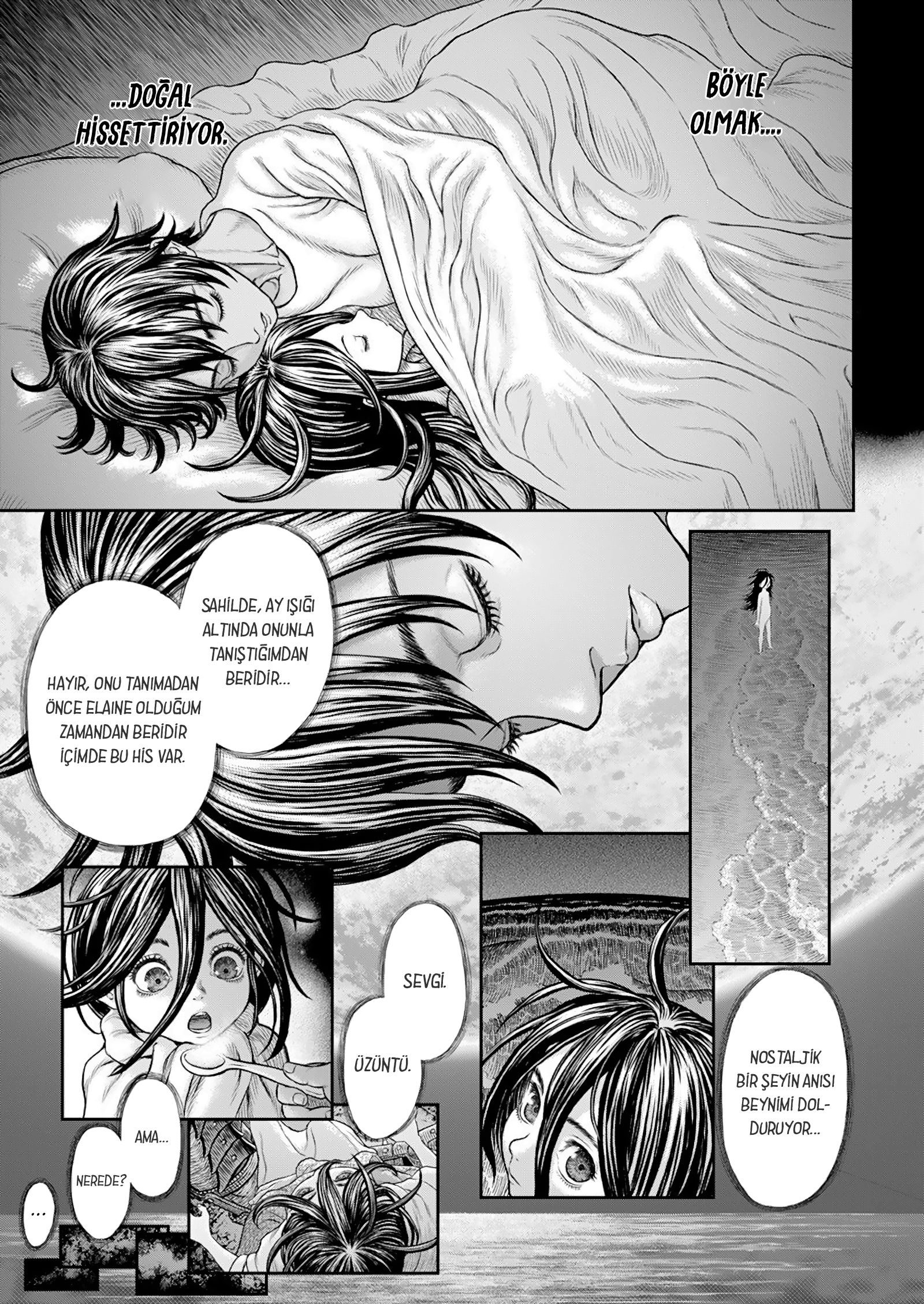 Read Berserk TR Manga Online