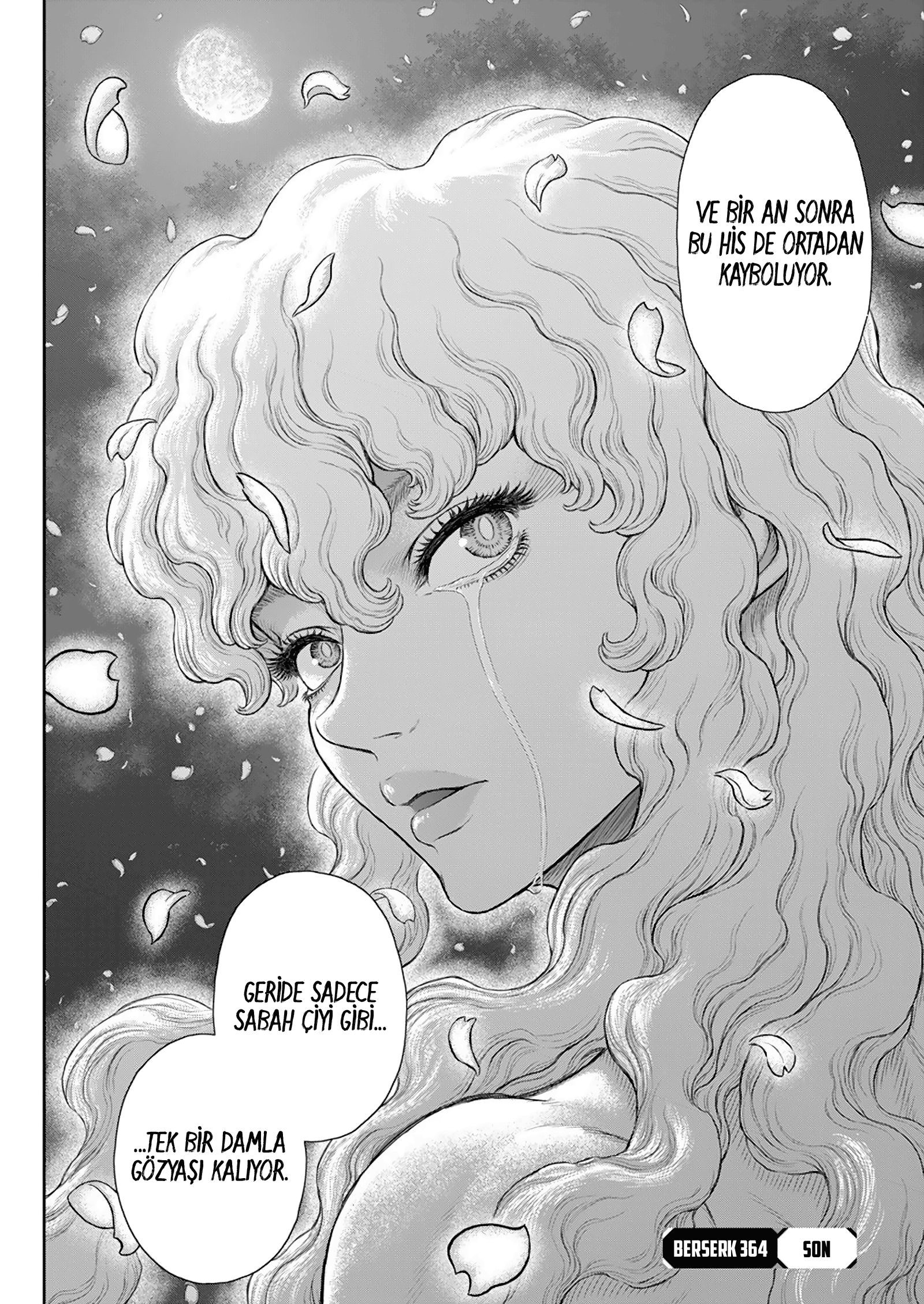 Read Berserk TR Manga Online