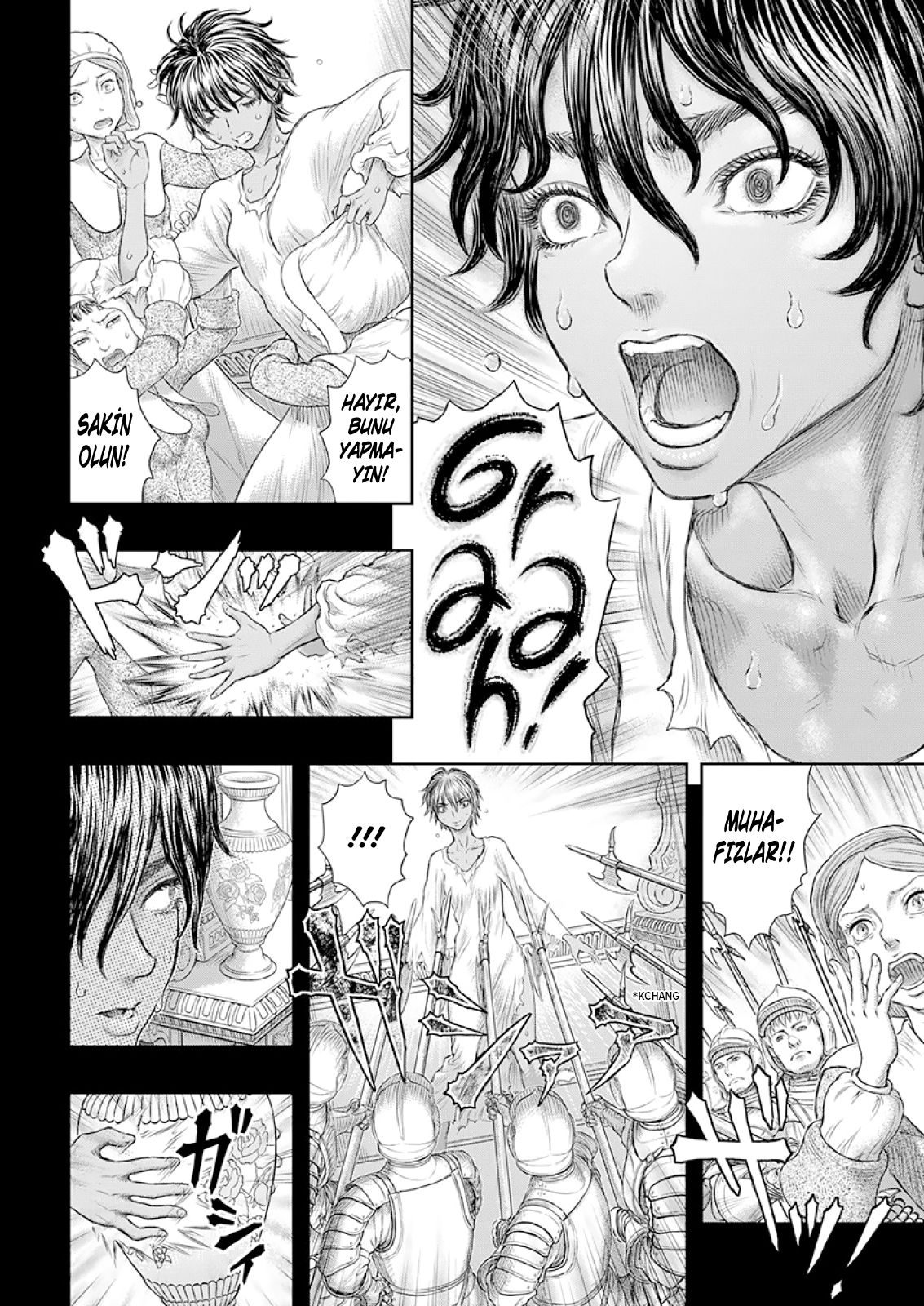 Read Berserk TR Manga Online