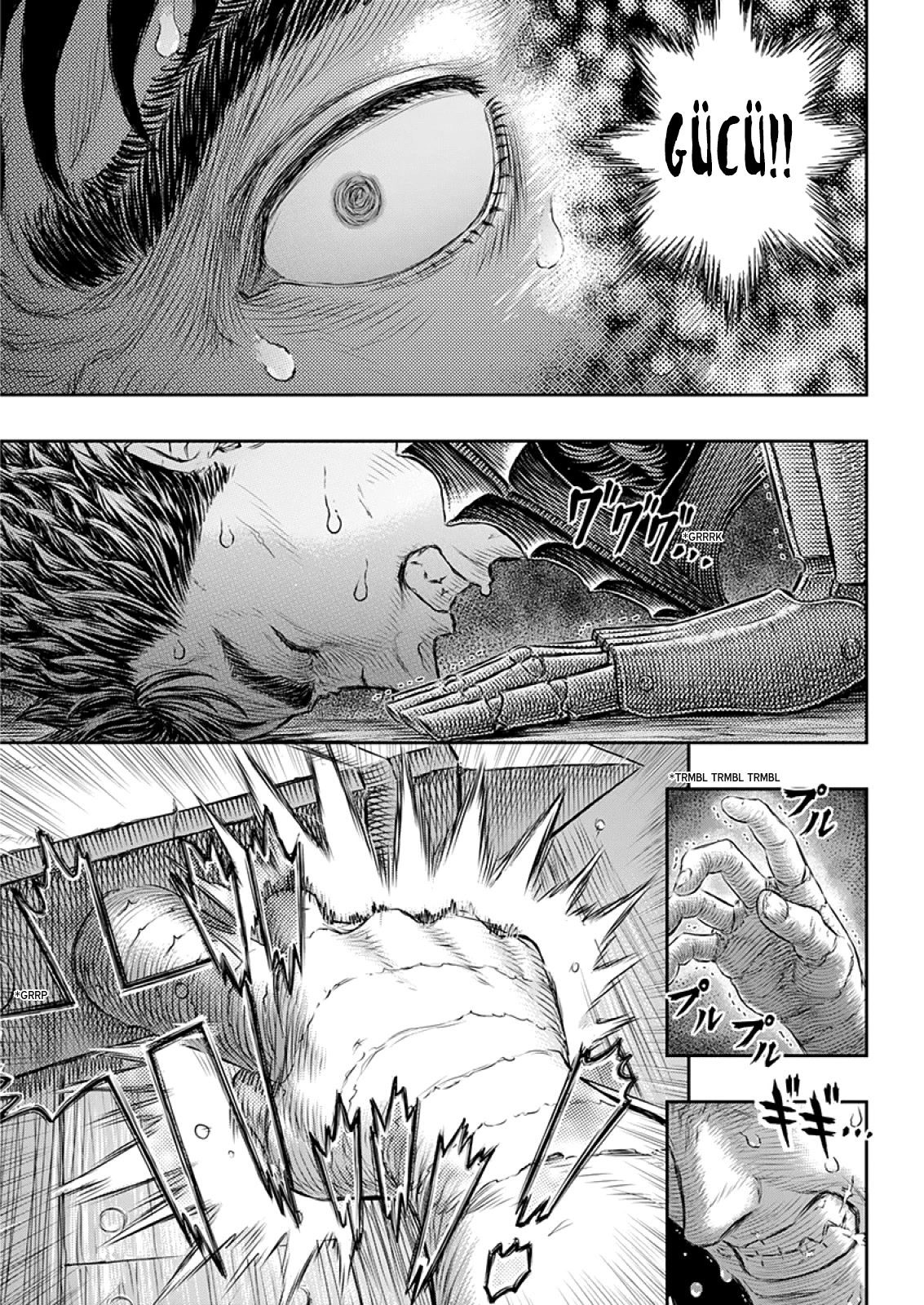Read Berserk TR Manga Online
