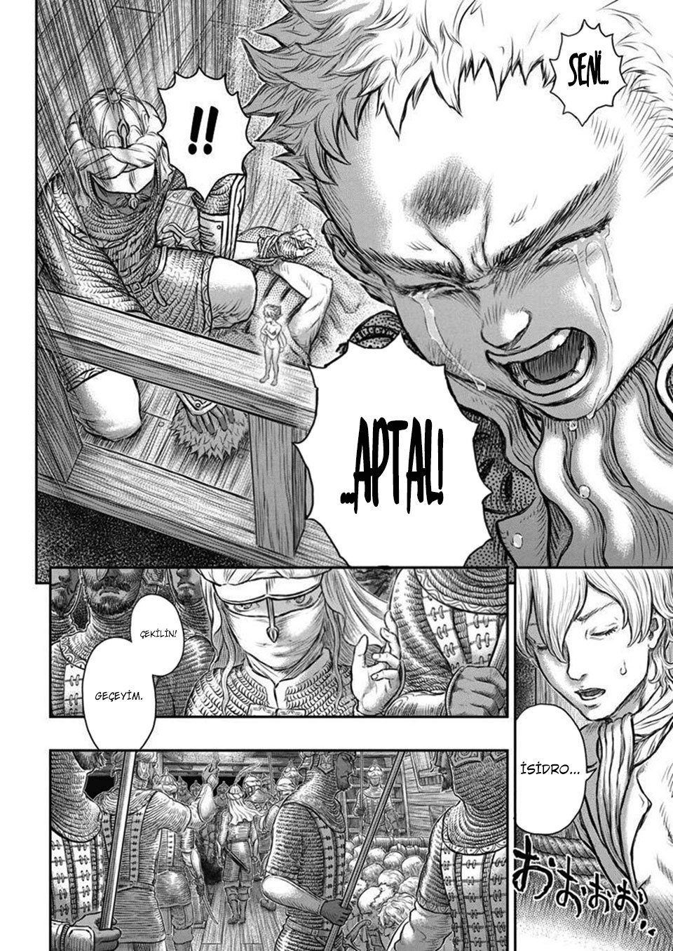 Read Berserk TR Manga Online