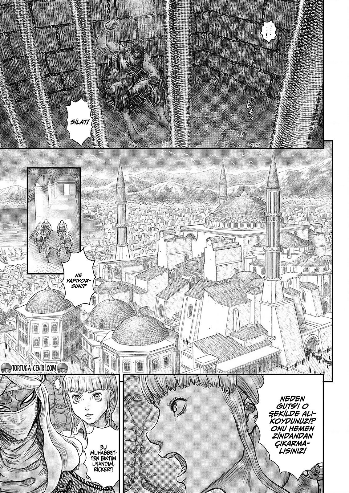 Read Berserk TR Manga Online