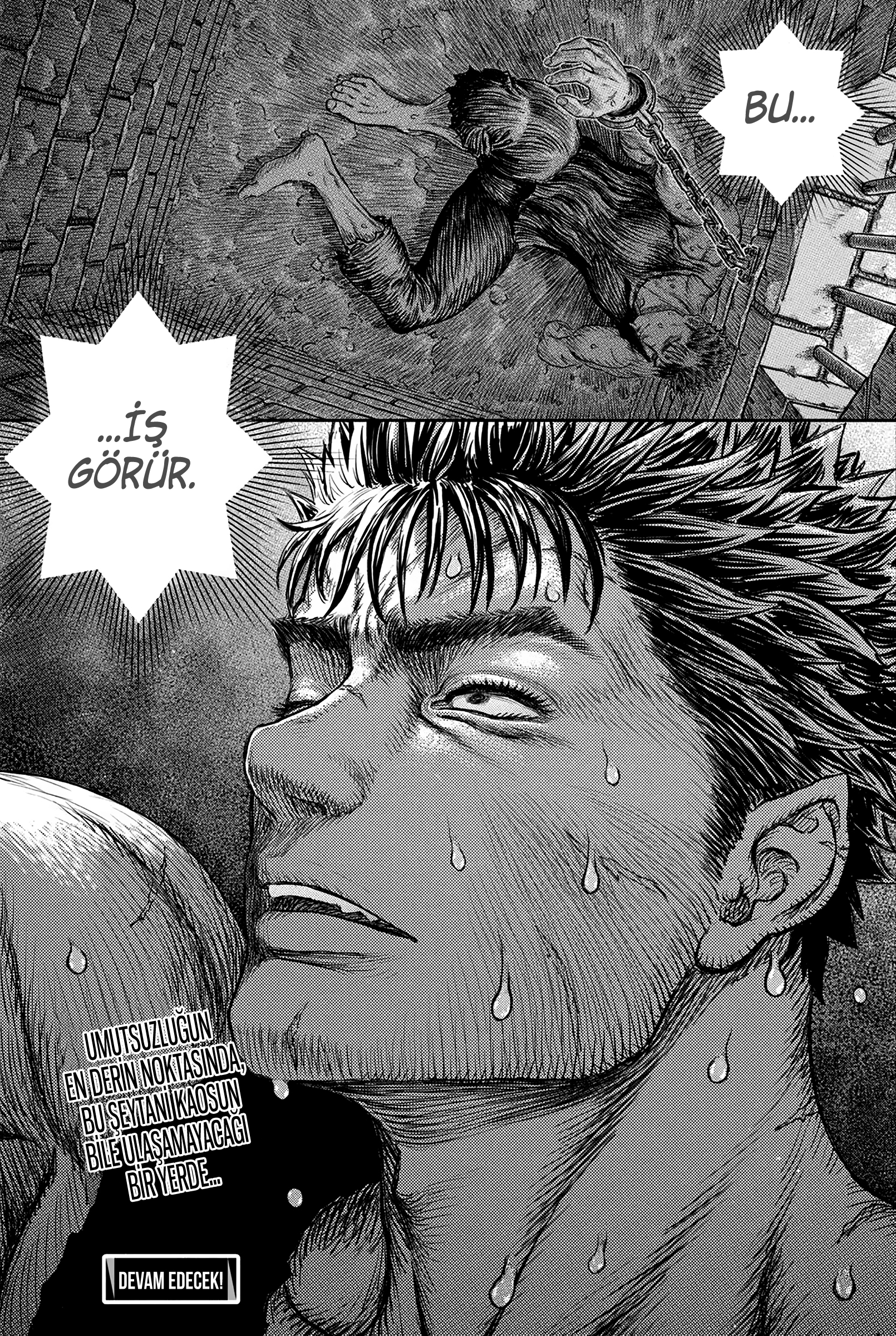 Read Berserk TR Manga Online