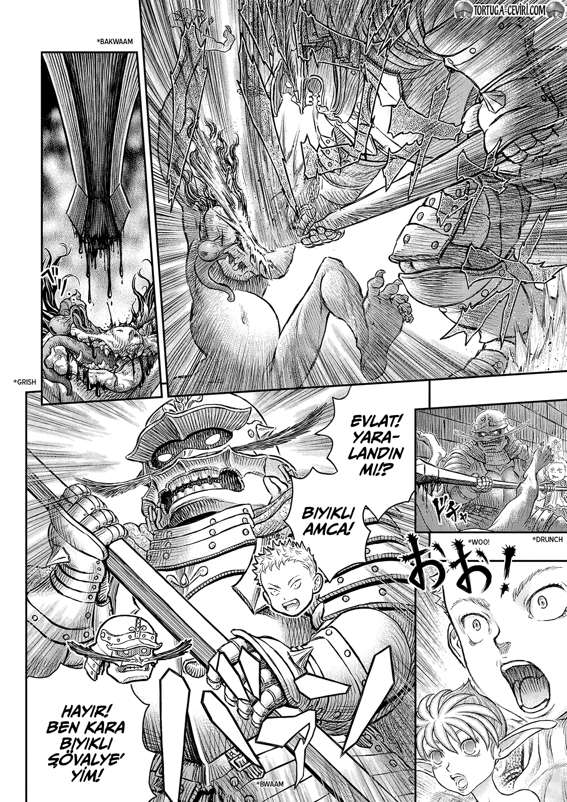 Read Berserk TR Manga Online