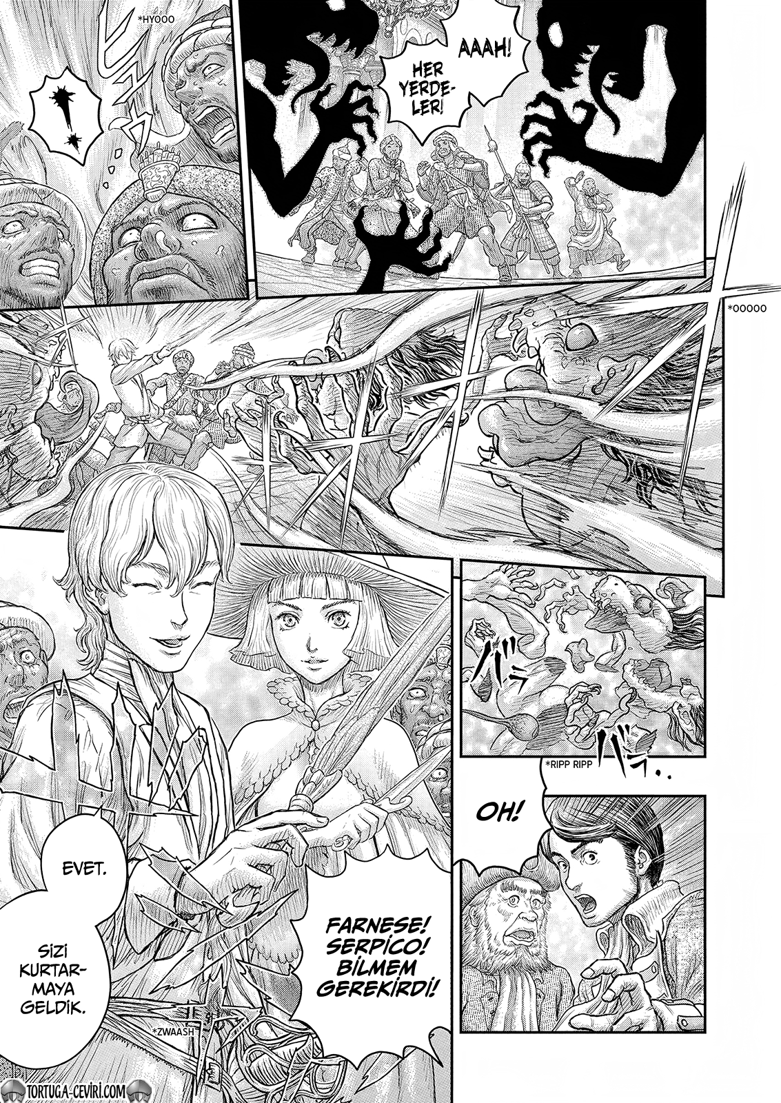 Read Berserk TR Manga Online