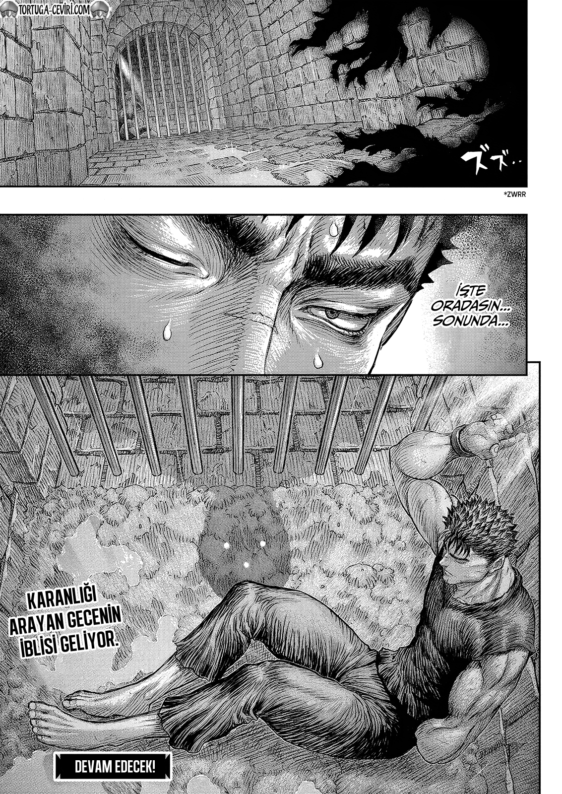 Read Berserk TR Manga Online