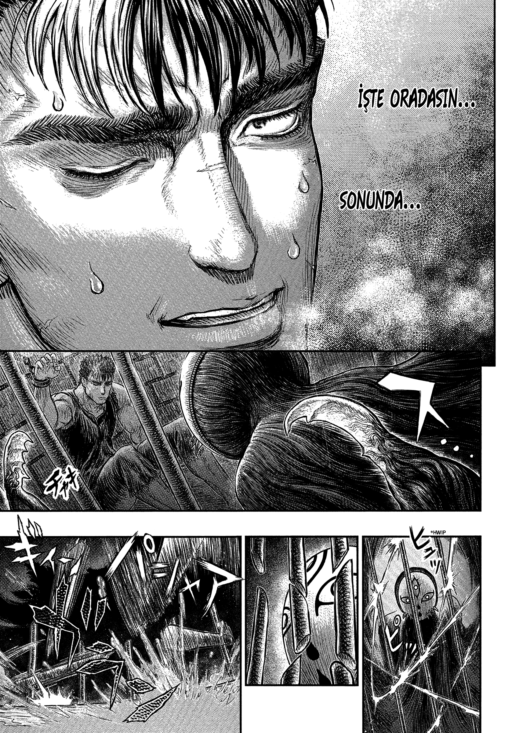 Read Berserk TR Manga Online