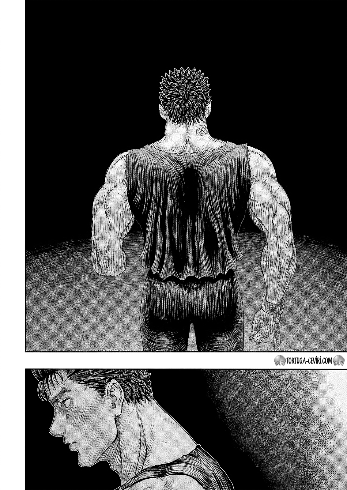 Read Berserk TR Manga Online