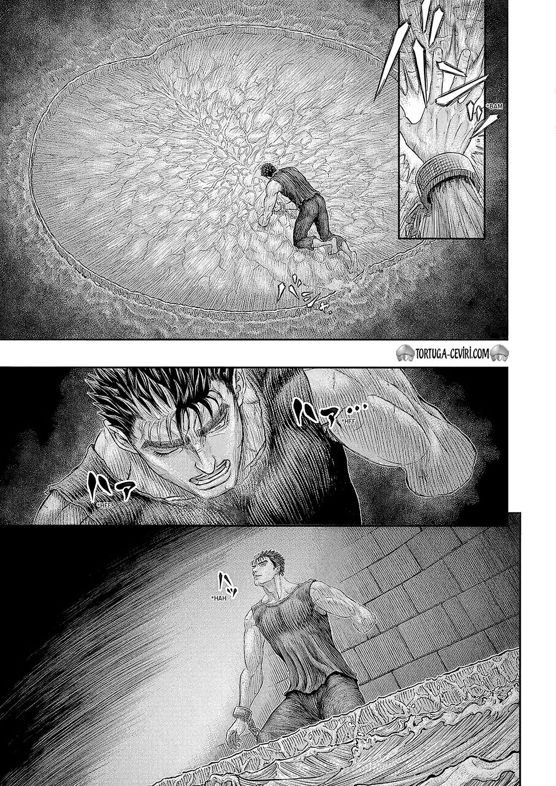 Read Berserk TR Manga Online