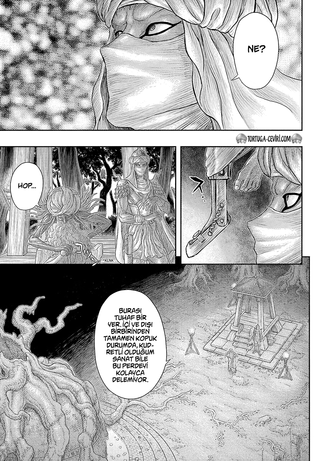 Read Berserk TR Manga Online