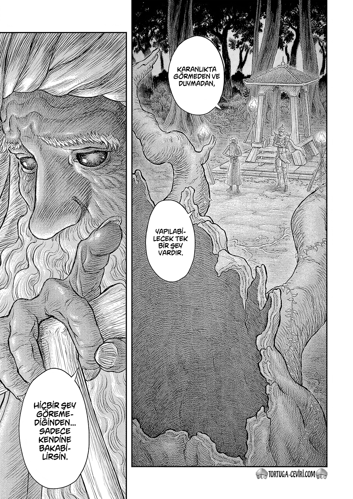 Read Berserk TR Manga Online