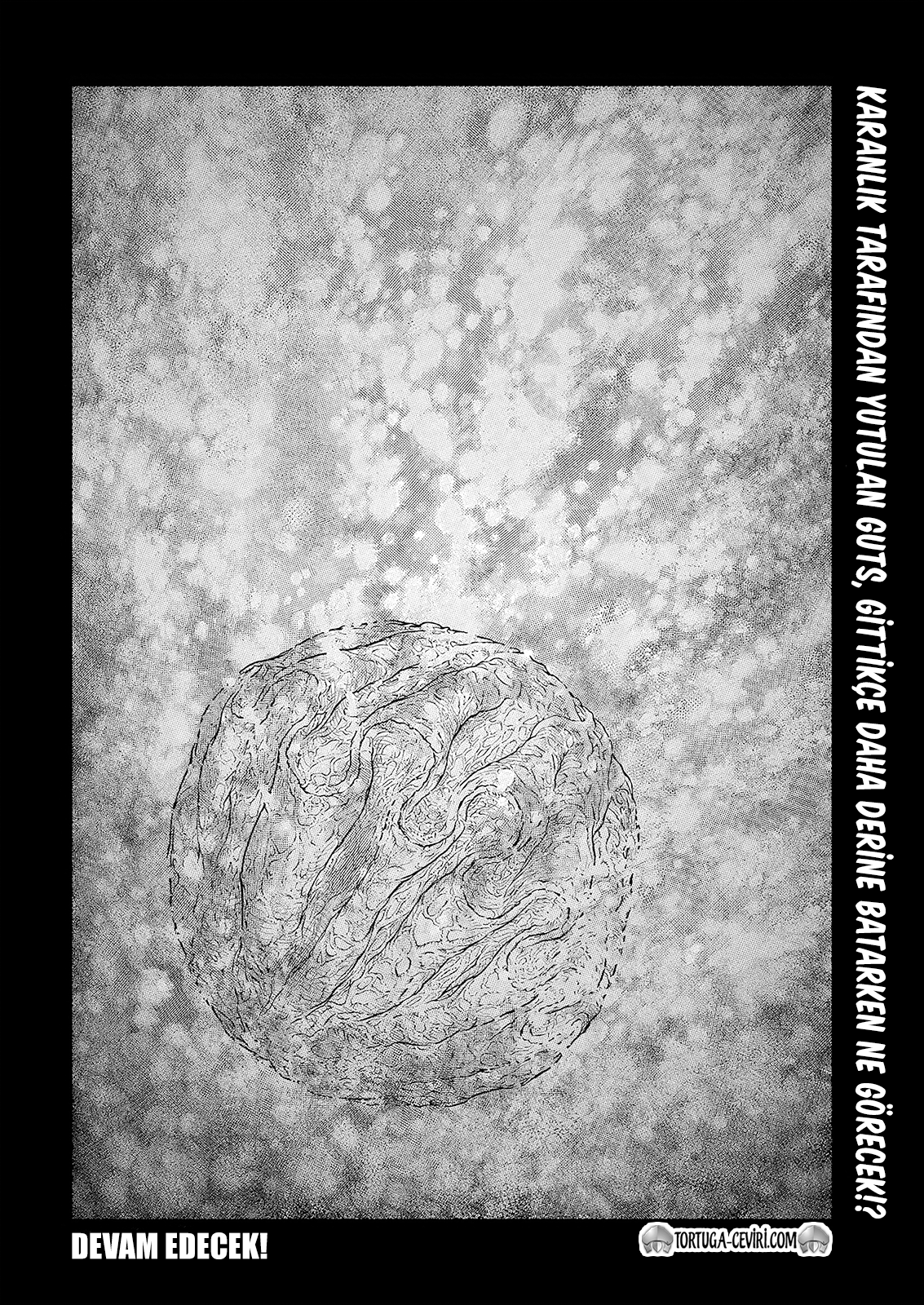 Read Berserk TR Manga Online