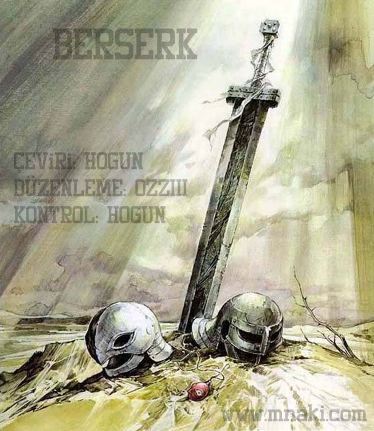 Read Berserk TR Manga Online