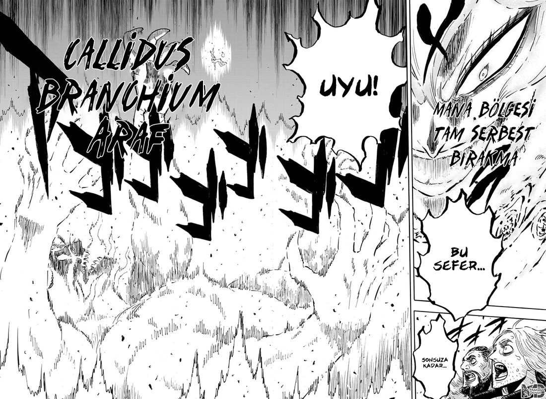 Read Black Clover Tr Manga Online