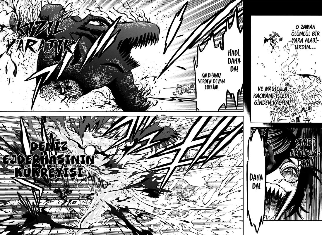 Read Black Clover Tr Manga Online
