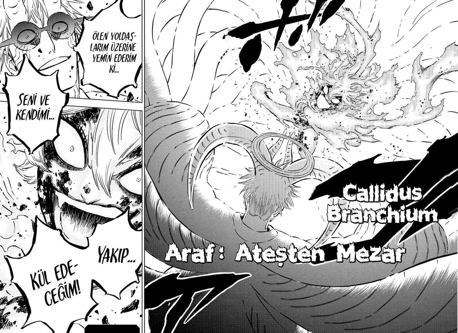 Read Black Clover Tr Manga Online