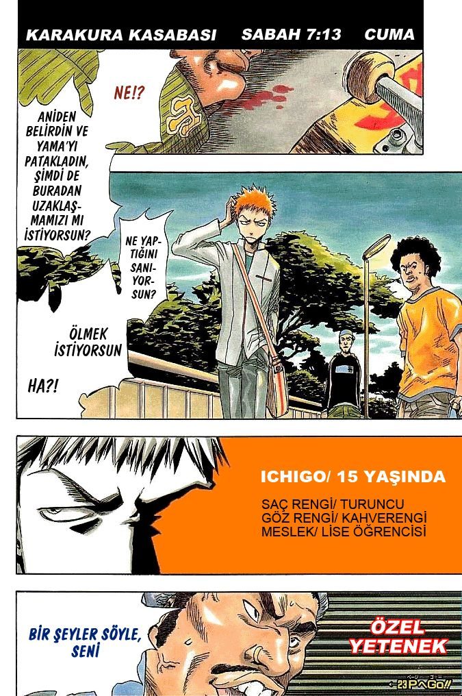 Read Bleach TR Manga Online