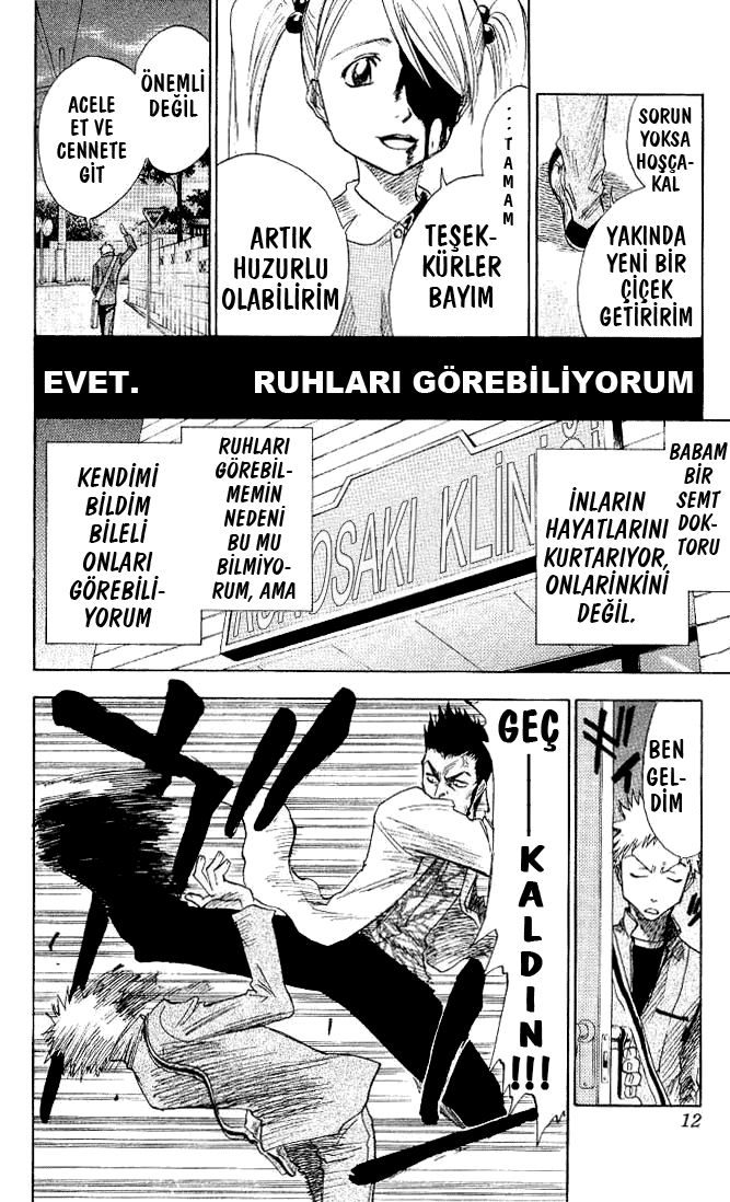 Read Bleach TR Manga Online