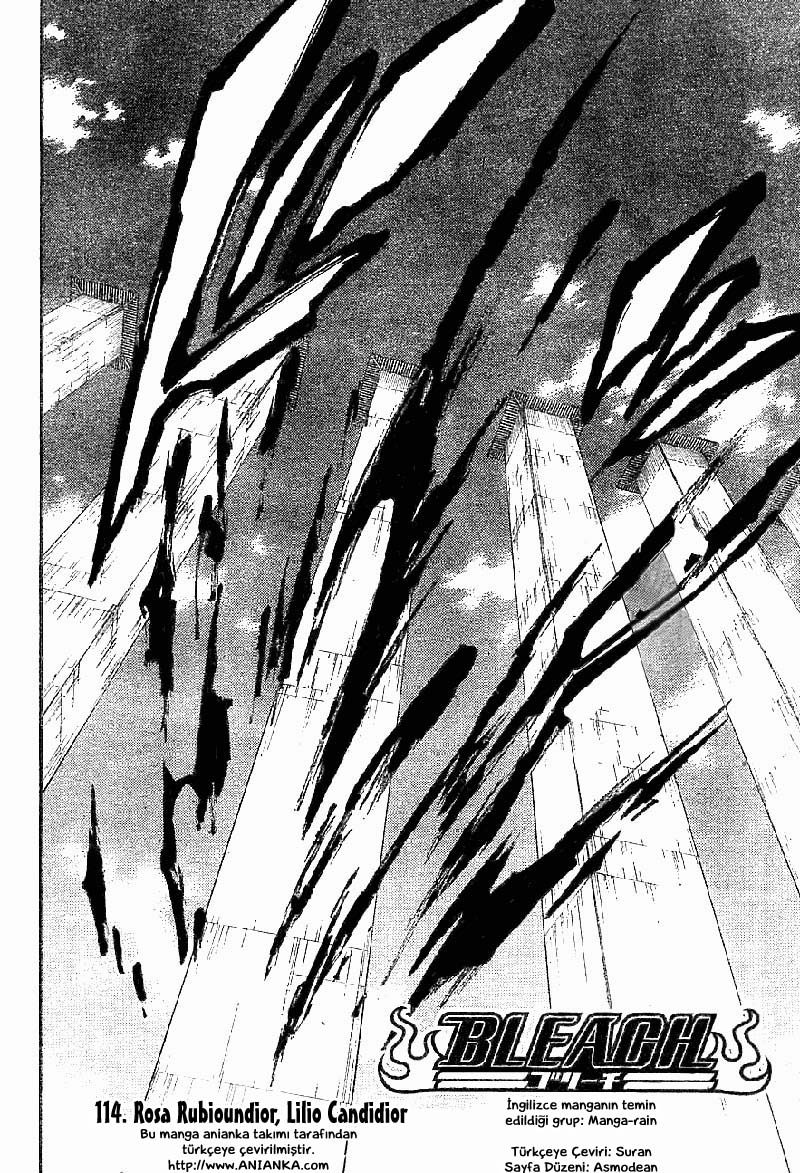 Read Bleach TR Manga Online
