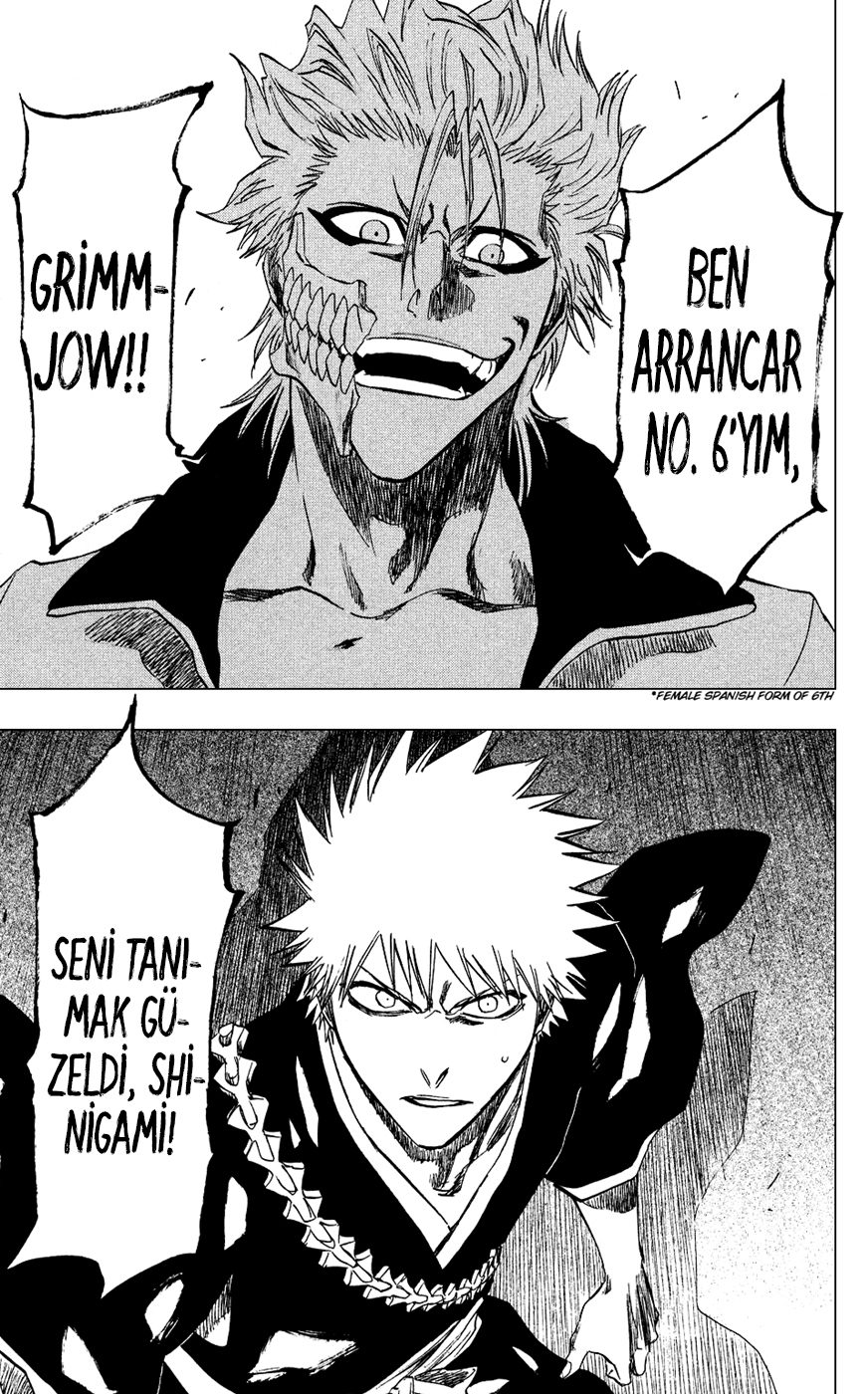 Read Bleach TR Manga Online
