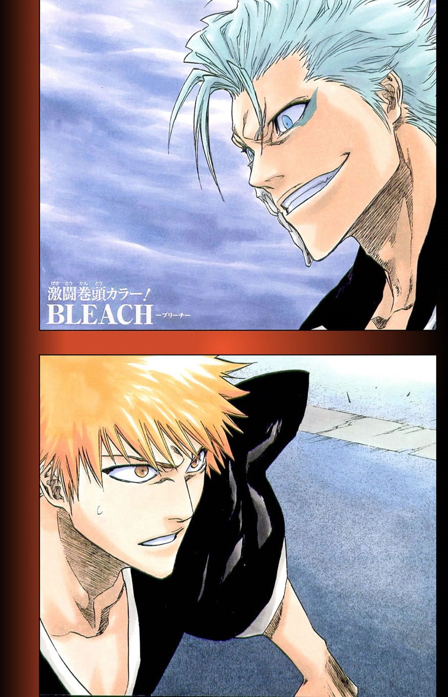 Read Bleach TR Manga Online
