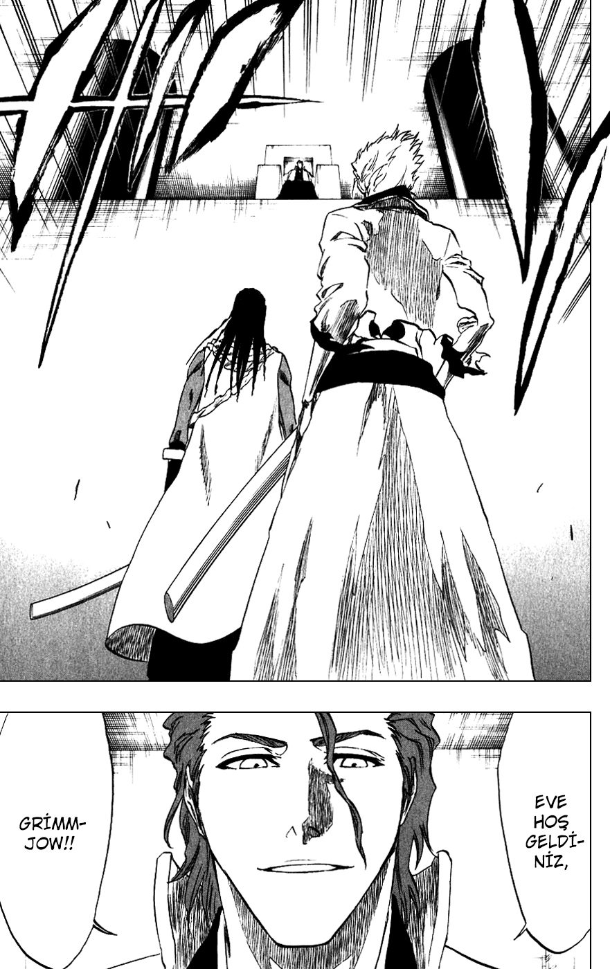 Read Bleach TR Manga Online