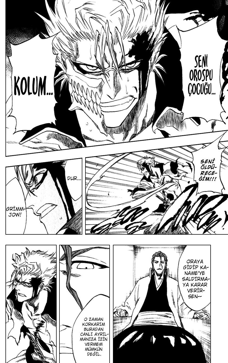 Read Bleach TR Manga Online